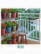 陽臺(tái)植物出租