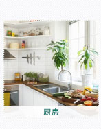 廚房植物租擺公司