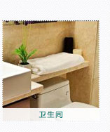 衛(wèi)生間植物租賃