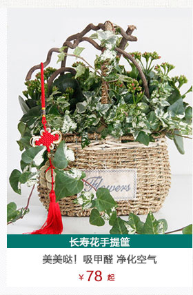 長壽花手提籃
