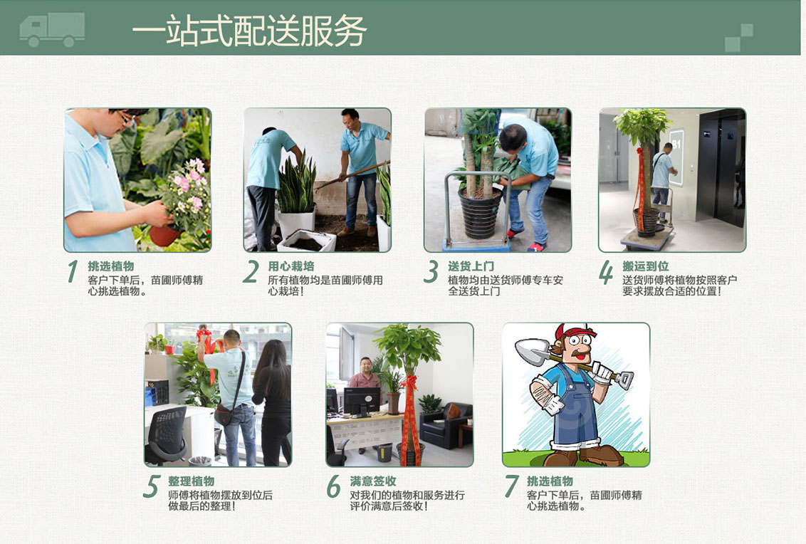 一站式植物租擺
