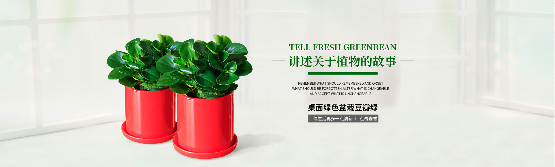 關(guān)于植物的故事