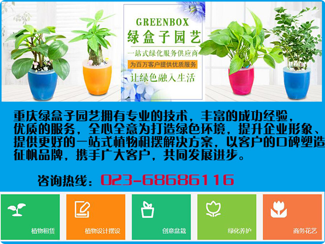 重慶江北植物租賃哪家好，選擇植物出租公司應(yīng)該看那些方面