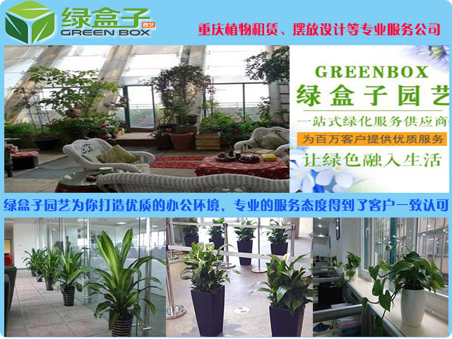 重慶江北植物租賃哪家好，選擇植物出租公司應(yīng)該看那些方面