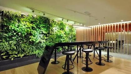 寫字樓植物租賃好不好，重慶寫字樓植物租賃選擇哪家好