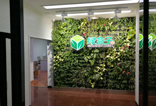 植物租用怎么收費(fèi)，重慶植物租賃公司選哪家好