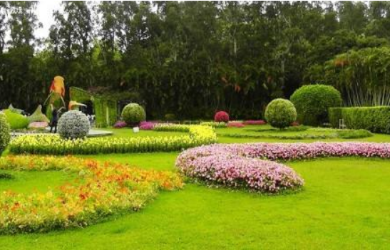 園林綠植養(yǎng)護(hù).png