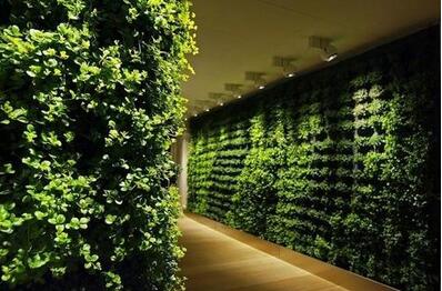 酒店綠植墻.jpg