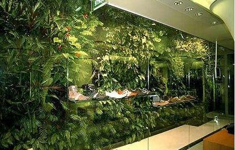 室內(nèi)植物墻.jpg