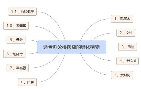 適合辦公樓擺放的綠化植物有哪些？.jpg