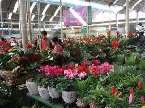 花卉市場.jpg